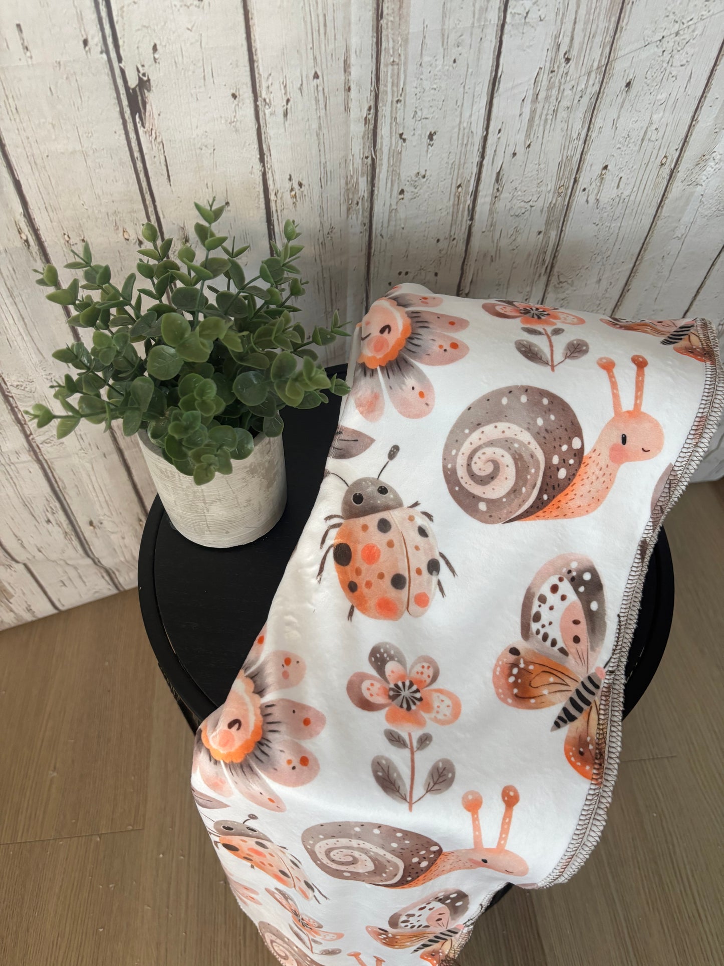 Couverture en squish escargot
